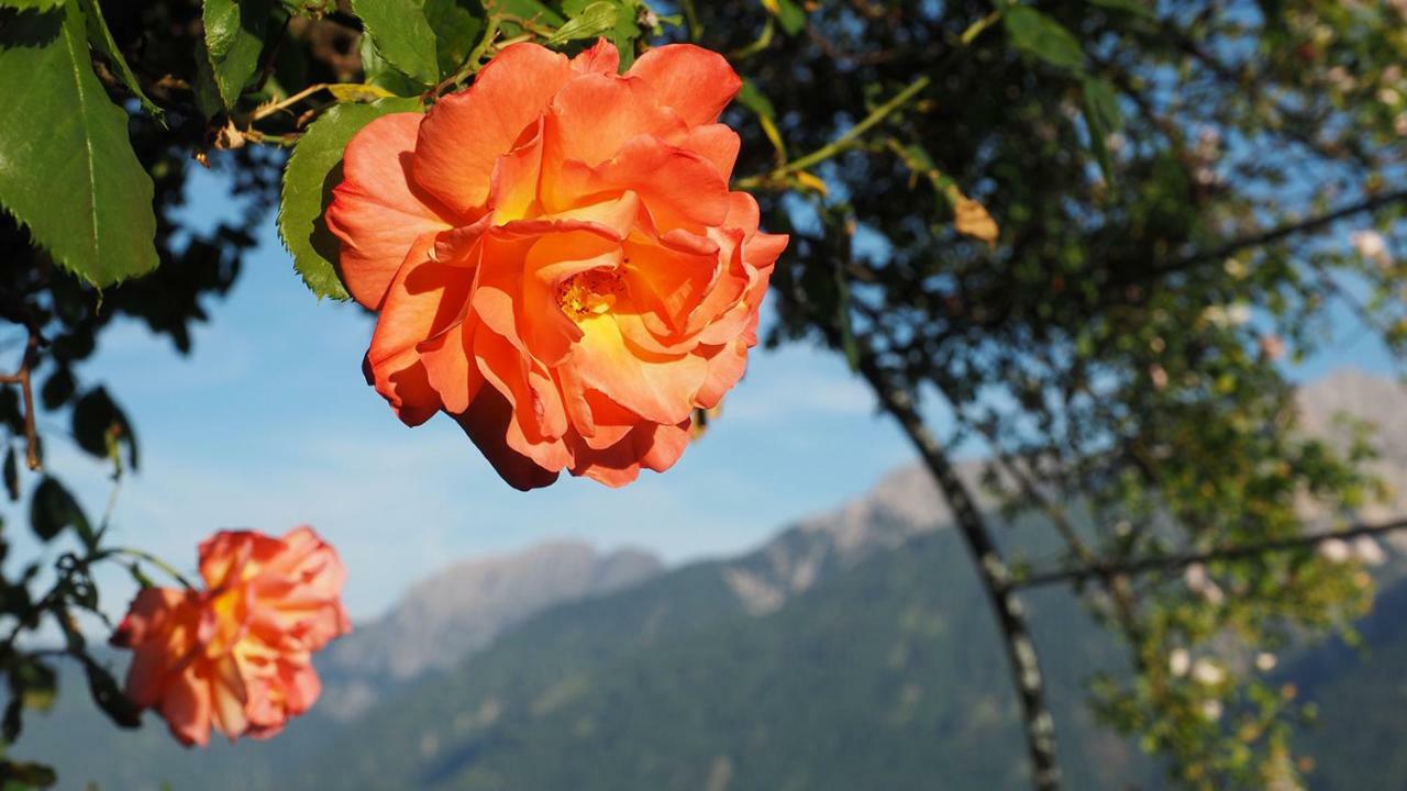 Bergh Am Berg Leilighet Irschen Eksteriør bilde